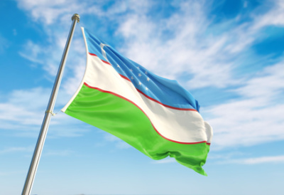 Uzbekistan flag small
